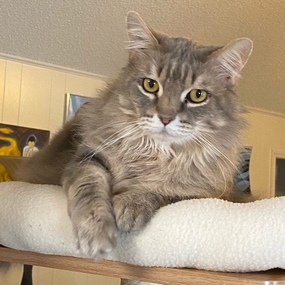 Meet your Posher, Val - Picture 8 of 12